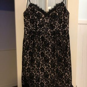 J Crew Lace Dress
